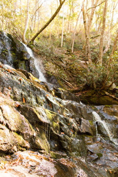 gatlinburg, 테네시에서 로렐 폭포 - gatlinburg waterfall appalachian mountains laurel falls 뉴스 사진 이미지