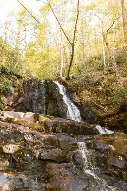 laurel cae en gatlinburg, tennessee - gatlinburg waterfall appalachian mountains laurel falls fotografías e imágenes de stock