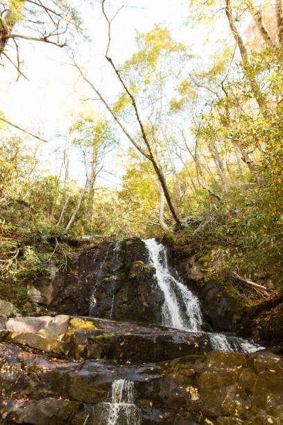 laurel cae en gatlinburg, tennessee - gatlinburg waterfall appalachian mountains laurel falls fotografías e imágenes de stock