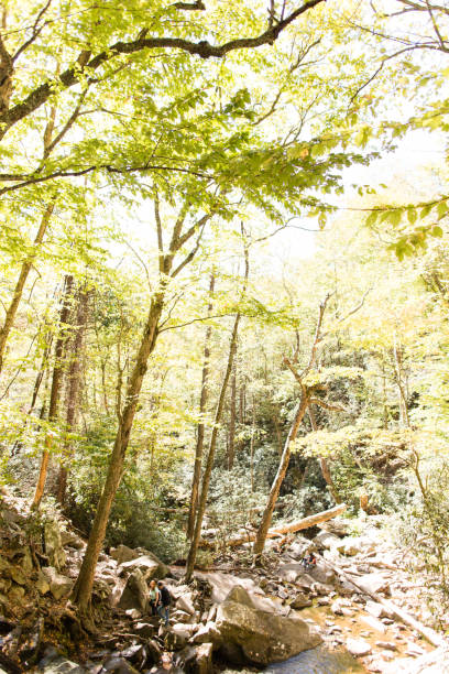 テネシー州ガトリンバーグ ローレル滝 - gatlinburg waterfall appalachian mountains laurel falls ストックフォトと画像