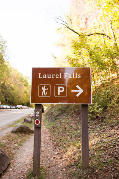 laurel cae en gatlinburg, tennessee - gatlinburg waterfall appalachian mountains laurel falls fotografías e imágenes de stock