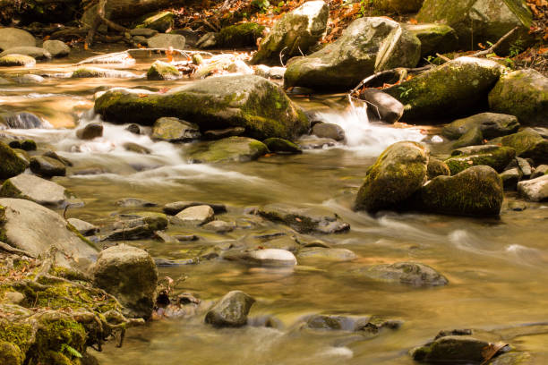 istock River in Gatlinburg, Tennessee 866381630