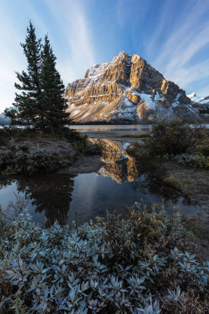 istock Bow Lake Intimate Landscape in Banff National Park 866382980