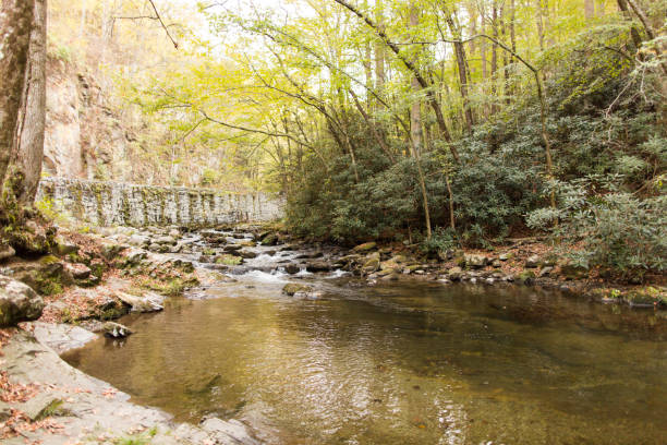 istock River in Gatlinburg, Tennessee 866383280