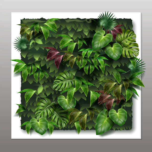 벡터 수직 정원 - backgrounds ivy leaf green stock illustrations