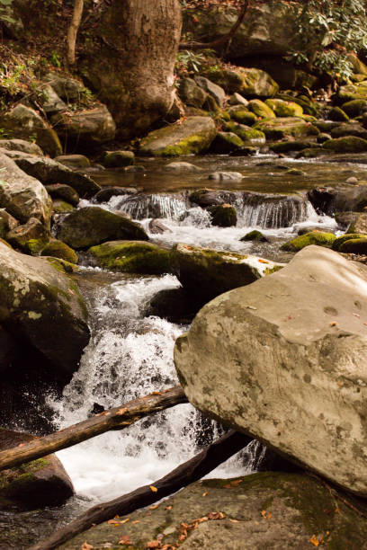 istock Rocky River at Ely's Mill in Gatlinburg, Tennessee 866396776