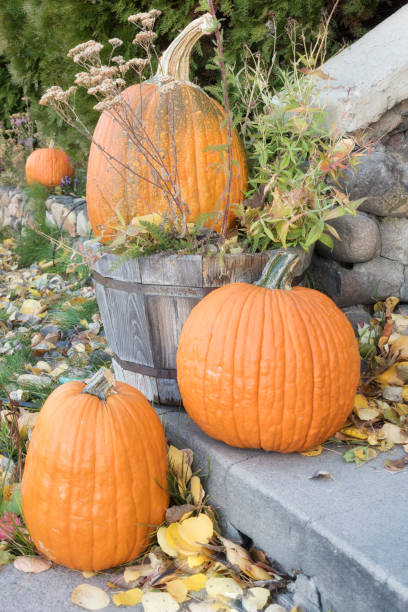 istock Autumn Halloween Pumpkin 866397322