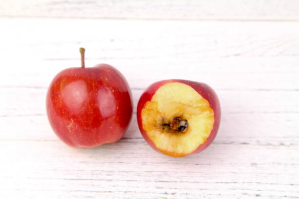 maçã - rotting apple fruit missing bite - fotografias e filmes do acervo