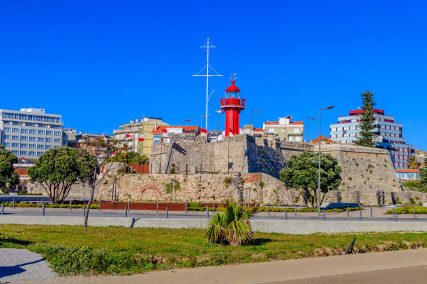 Fig tree of the mouth Panoramic view of figueira da foz lighthouse in Portugal verão stock pictures, royalty-free photos & images
