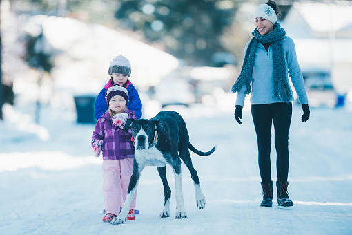 Mom walks with her two young daughters and their dog down the snowy neighborhood street. The streets, cars, and sidewalks are covered with snow. They are holding and walking in the middle of the street with big smiles on their faces.