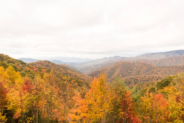 istock Autumn in the Smoky Mountains 866411066