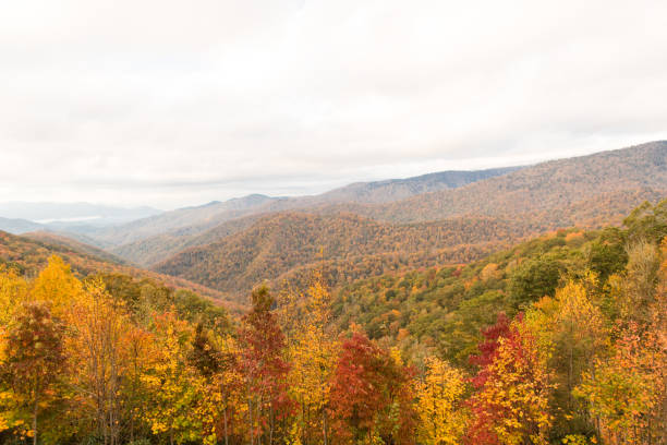 istock Autumn in the Smoky Mountains 866411138