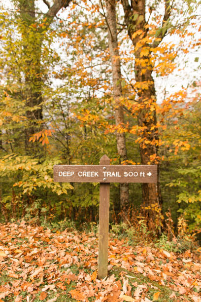 istock Autumn in the Smoky Mountains 866411610