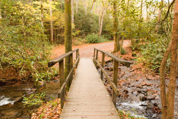 istock Mingus Mill in Cherokee, North Carolina 866411782