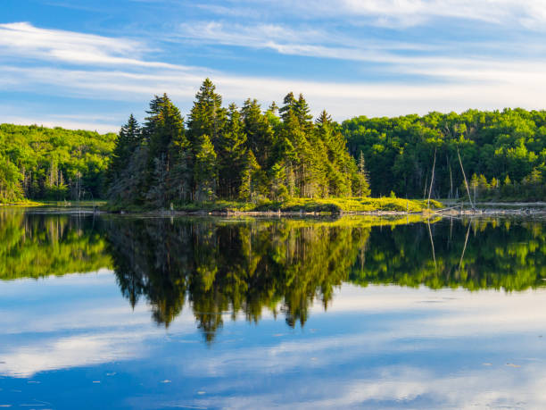 Green Mountains Pond Reflecting Blue Sky A pond in the Green Mountains of Vermont reflection a bright blue sky and a small tree covered island. green mountains appalachians photos stock pictures, royalty-free photos & images