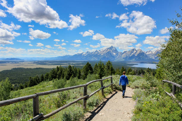 Boy hiking with lake and mountain Teenage boy hiking with Jackson lake and mount Teton view in summer jackson hole photos stock pictures, royalty-free photos & images