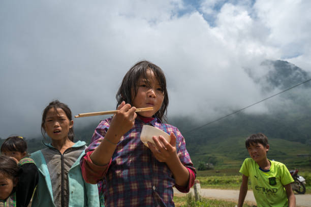 Lao Cai: Ethnic minority child having lunch with her family on rice field on harvesting season in Sapa