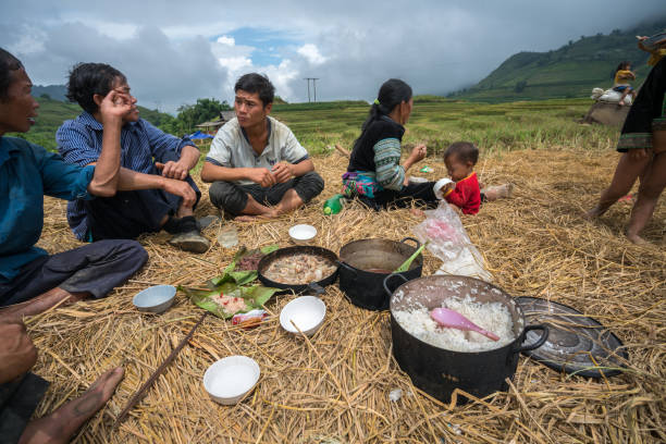 Lao Cai: Ethnic minority farmer family having lunch on rice field in Sapa
