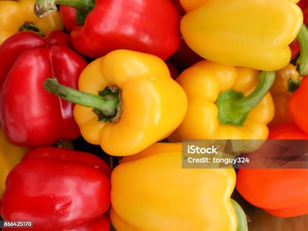 Colorful Bell Pepper Or Sweet Pepper Stock Photo - Download Image Now - Bell Pepper, Agriculture, Bright