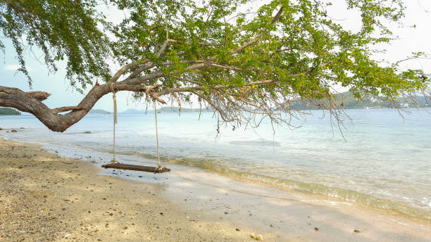 istock Wooden swing on the beach 866425274