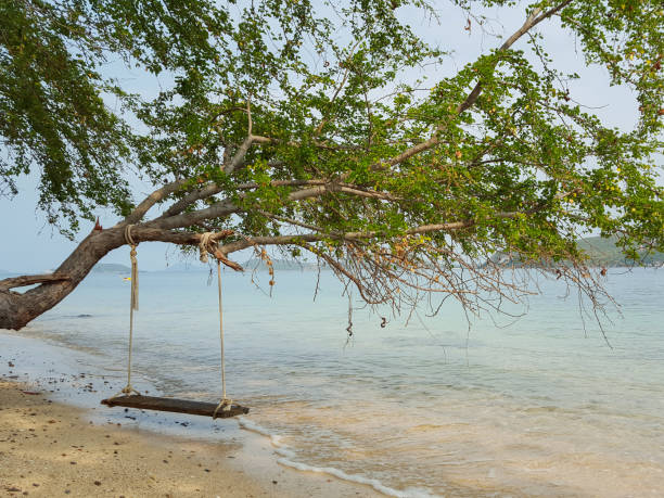 istock Wooden swing on the beach 866425292