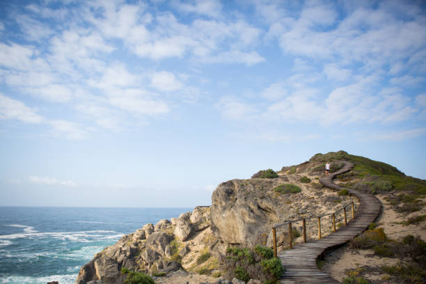 istock Woman runs along a wooden boardwalk 866437470