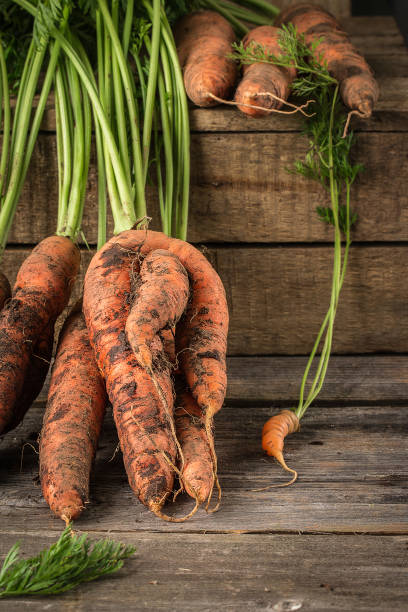 istock Fresh Organic Carrots  on wooden background 866445272