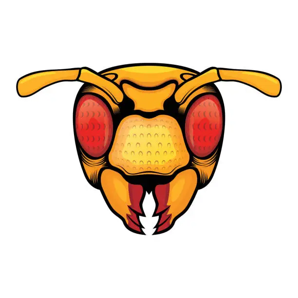 Vector illustration of Bee head vector illustration