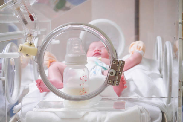 newborn baby girl inside incubator in hospital post delivery room - labour room imagens e fotografias de stock