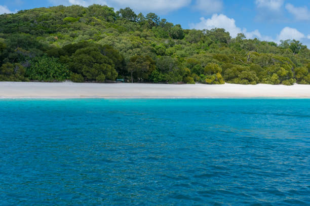 istock Australian famous Whitehaven beach with silica white sand and turquoise waters 866462354