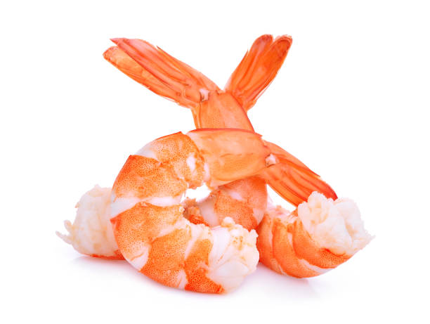 gamberetti isolati su sfondo bianco - shrimp prepared shrimp prawn prepared prawn foto e immagini stock