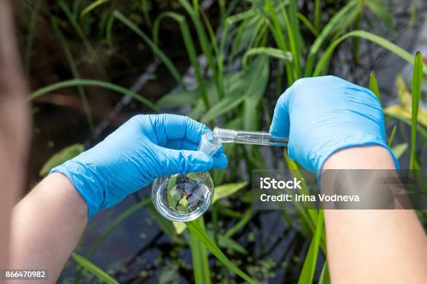 Samples Of Water From The River Water Intake Water Abstraction Water Diversion Stock Photo - Download Image Now