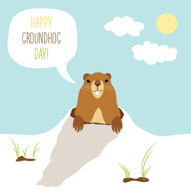 ilustraciones, imágenes clip art, dibujos animados e iconos de stock de tarjeta linda del día de la marmota como personaje de dibujos animados divertidos de marmota - groundhog day