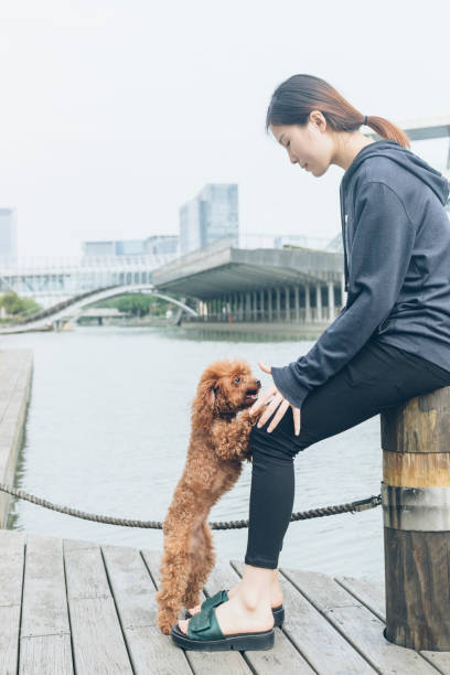 istock woman playing with her puppy dog by river 866481682