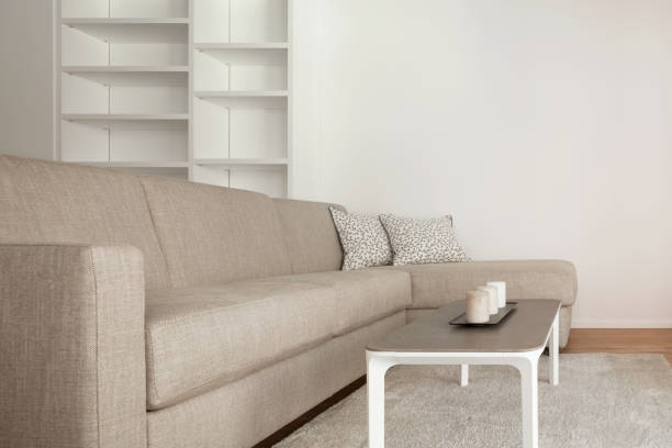 istock Lateral view of a minimal living 866481892