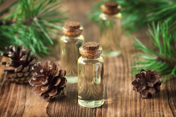 istock Essential oil of pine and spruce 866483304