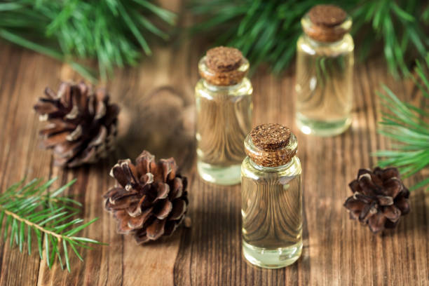 istock Essential oil of pine and spruce 866483382