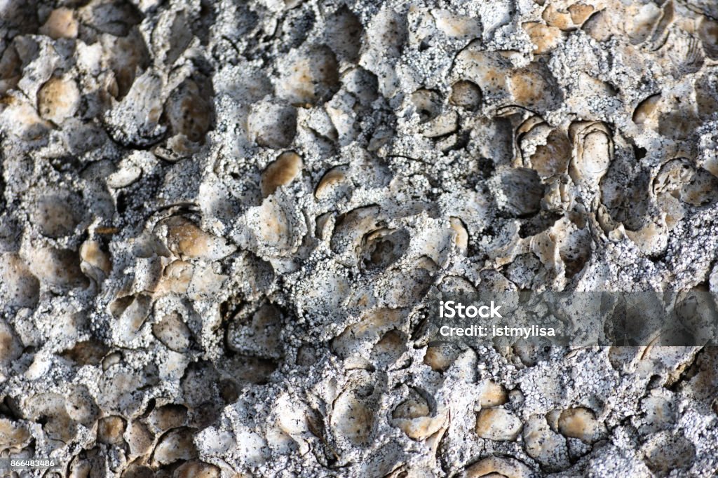 พื้นหลัง เนื้อหินปูนและปูนขาว - ไม่มีค่าลิขสิทธิ์ กรวด - หิน ภาพสต็อก