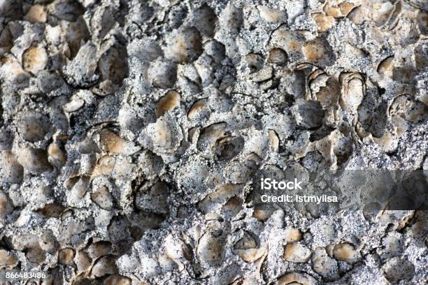พื้นหลัง เนื้อหินปูนและปูนขาว ภาพสต็อก - ดาวน์โหลดรูปภาพตอนนี้ - กรวด - หิน, การถ่ายภาพ - ภาพ, ขรุขระ - เงื่อนไข