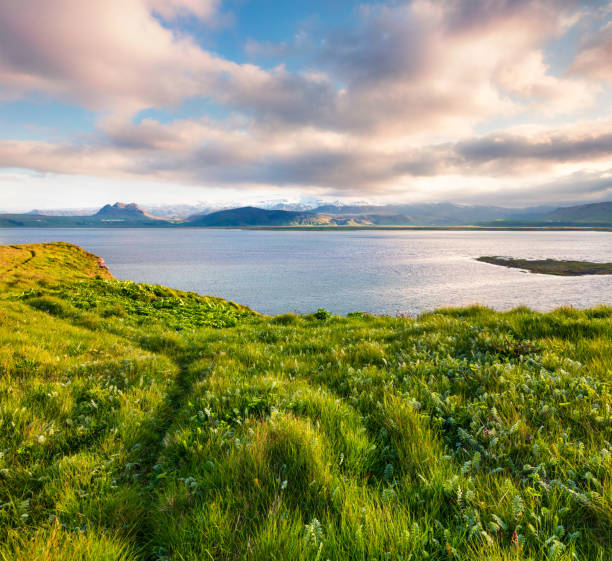 Typical Icelandic landscape with volcanic mountains and Atlantic ocean coast. Sunny summer morning in the west coast of Iceland, Europe. Artistic style post processed photo.