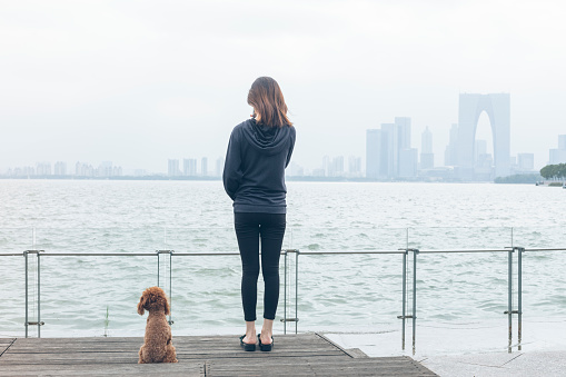 rear view of woman standing at waterfront with her pets sitting on side,suzhou,china.