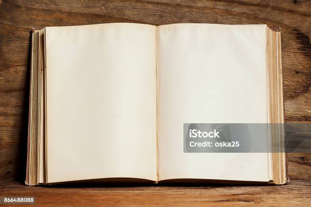 Leere Offenes Buch Auf Einem Hellen Holzregal An Der Wand Playwood Stockfoto und mehr Bilder von Buch