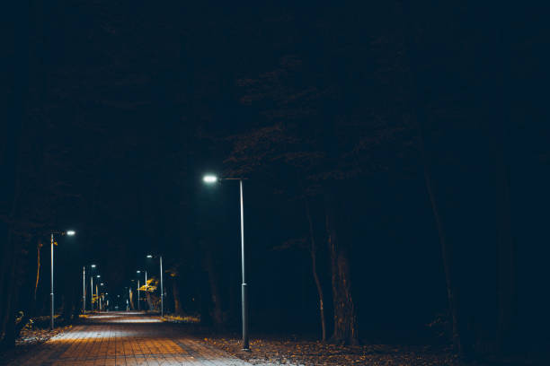istock city park in the night 866495040