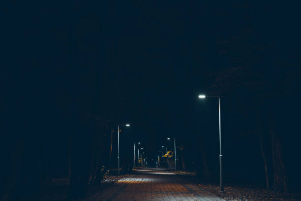 istock city park in the night 866495170