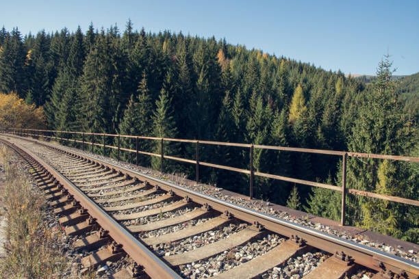 istock railroad track in the forest 866497534