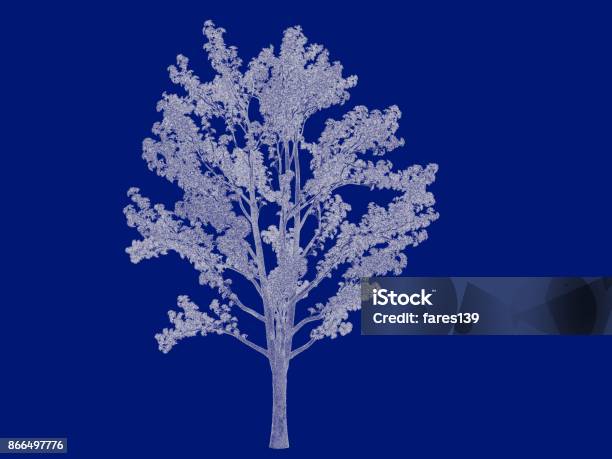 Blueprint Example Tree 3d Rendering Of An Outlined Tree Blueprint Isolated On Blue Background ...