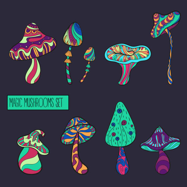 Set of stylized mushrooms in acid colours Set of stylized magic mushrooms. Fairy mushrooms. Acid colours vector amanita muscaria stock illustrations