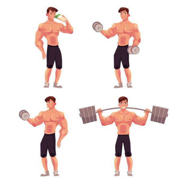 ilustrações, clipart, desenhos animados e ícones de homem, masculina, fisiculturista, halterofilista malhando com barra e halteres - white background dumbbell the human body human arm