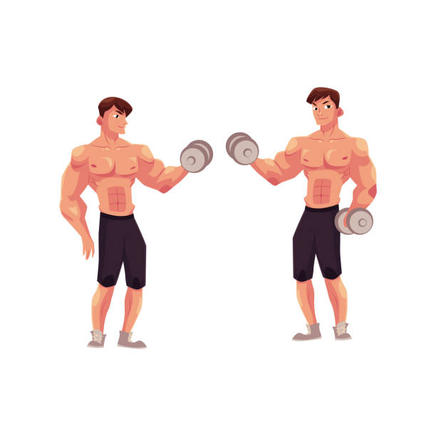 ilustrações, clipart, desenhos animados e ícones de homem bodybuilder, duas variantes de treino de bíceps, haltere braço de treinamento - white background dumbbell the human body human arm