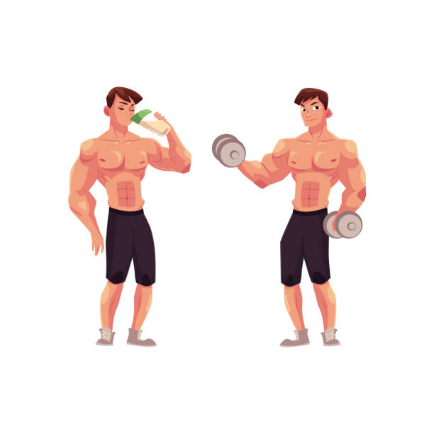 ilustrações, clipart, desenhos animados e ícones de fisiculturista homem trabalhar com halteres e bebendo milk-shake - white background dumbbell the human body human arm